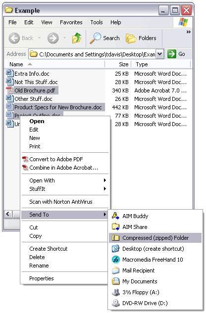 Image of contextual menu in Windows XP.